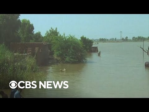 World Meals Programme appears to be like to invent bigger aid in Pakistan amid devastating flooding
