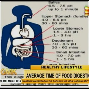 Apt Morning Kuya: How prolonged does it take to digest meals?