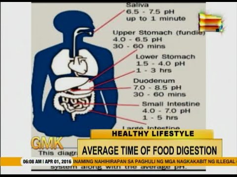 Apt Morning Kuya: How prolonged does it take to digest meals?