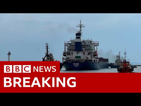 First grain ship to move Ukraine in five months sets flee under Russia deal – BBC Files