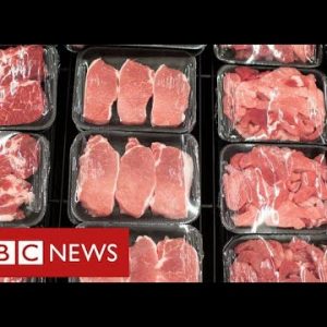 UK meat exports delayed for days attributable to new Brexit customs guidelines – BBC Knowledge