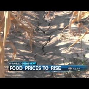 WEBCAST: Food Prices to Upward push