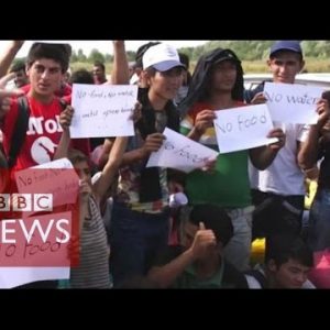 Migrants stammer: ‘No food, no water’ BBC News