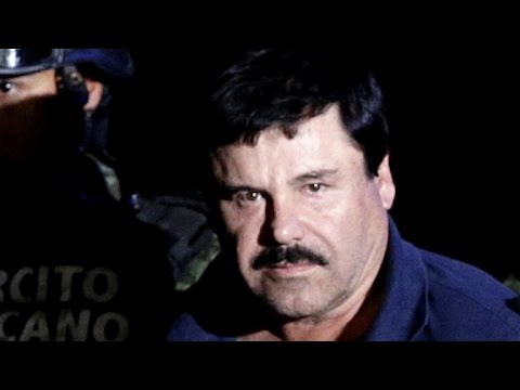 Dogs taste-take a look at El Chapo’s penal advanced meals