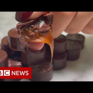 Can you change cocoa in chocolate? – BBC News