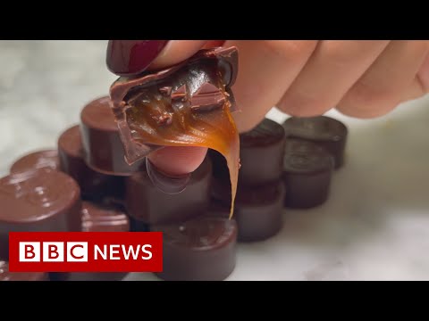 Can you change cocoa in chocolate? – BBC News