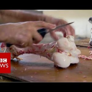 Venezuela crisis: Where families buy irascible meat to exhaust – BBC News