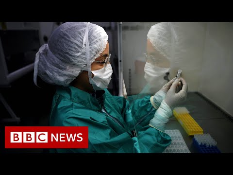Coronavirus: What’s an endemic and why expend the term now?  – BBC Info