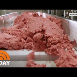 No longer doable Foods CEO Discusses Search info from For Plant-Based mostly Burgers | TODAY
