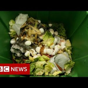 How can how we clear up the planet’s food fracture topic? – BBC News