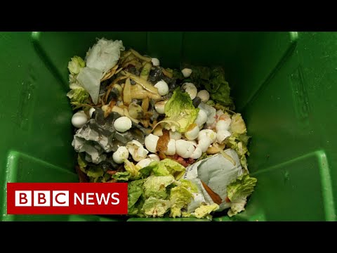 How can how we clear up the planet’s food fracture topic? – BBC News