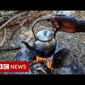 Eritrea refugees in Ethiopia ‘flee out of meals’ – BBC Info