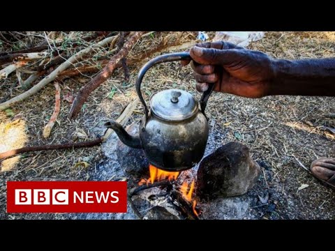 Eritrea refugees in Ethiopia ‘flee out of meals’ – BBC Info